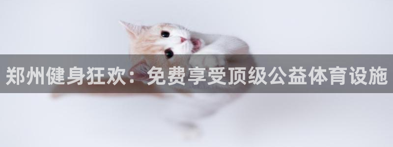 意昂体育3娱乐：郑州健身狂欢：免费享受顶级公益体育设
