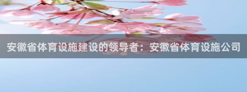 意昂体育3招商电话是多少号码：安徽省体育设施建设的领