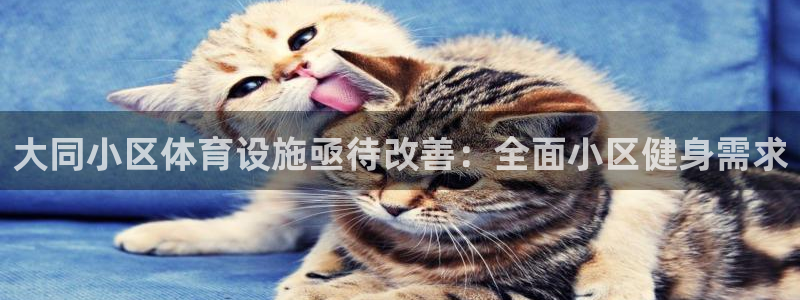 意昂体育3平台注册要钱吗安全吗：大同小区体育设施亟待