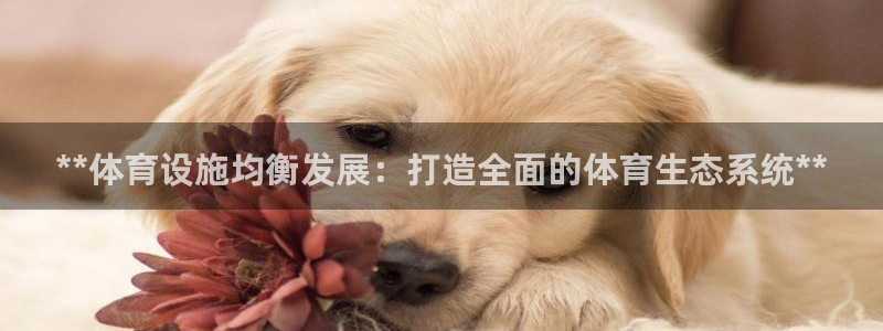 海南意昂体育3：**体育设施均衡发展：打造全面的体育