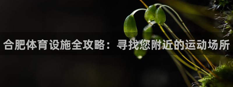 意昂3娱乐平台：合肥体育设施全攻略：寻找您附近的运动