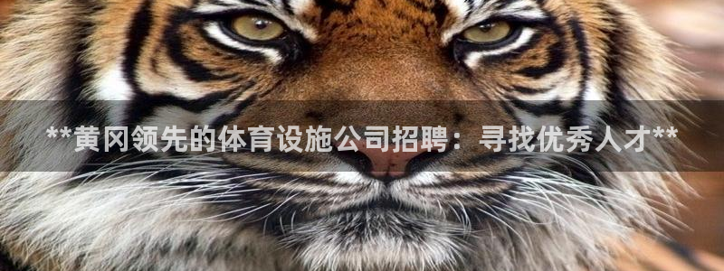 意昂3娱乐网站：**黄冈领先的体育设施公司招聘：寻找