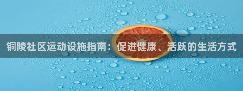 意昂3新能源：铜陵社区运动设施指南：促进健康、活跃的