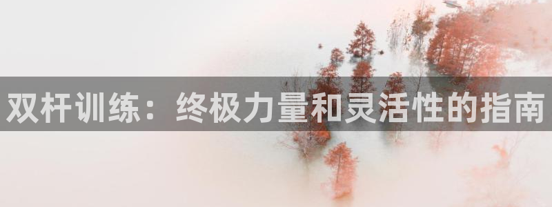意昂体育3招商电话号码是多少啊：双杆训练：终极力量和