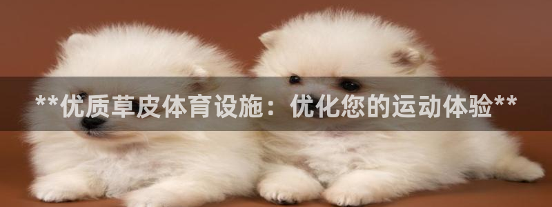 意昂体育3平台注册要钱吗：**优质草皮体育设施：优化