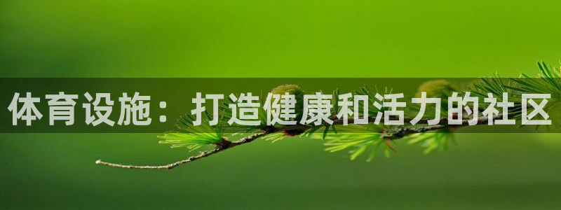 意昂3娱乐首页官网下载：体育设施：打造健康和活力的社