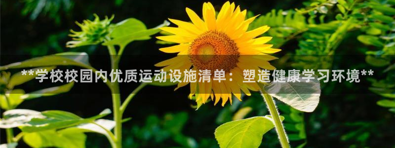 意昂体育3娱乐：**学校校园内优质运动设施清单：塑造