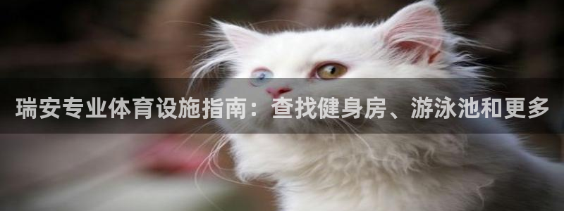 意昂体育3招商电话是多少啊：瑞安专业体育设施指南：查