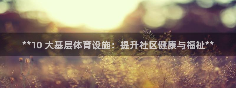 注册意昂3：**10 大基层体育设施：提升社区健康与