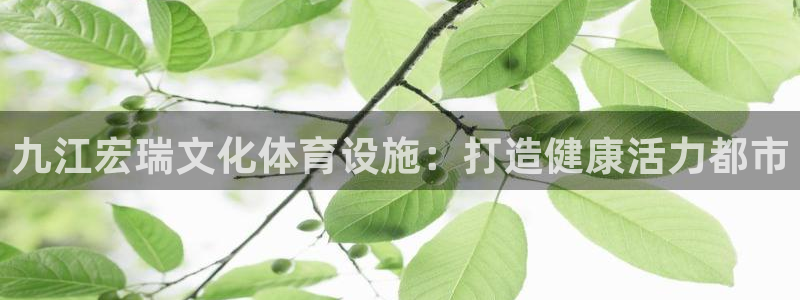 意昂体育3招商电话号码：九江宏瑞文化体育设施：打造健