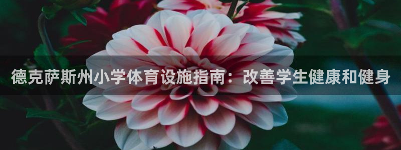 意昂体育3招商电话地址是多少：德克萨斯州小学体育设施