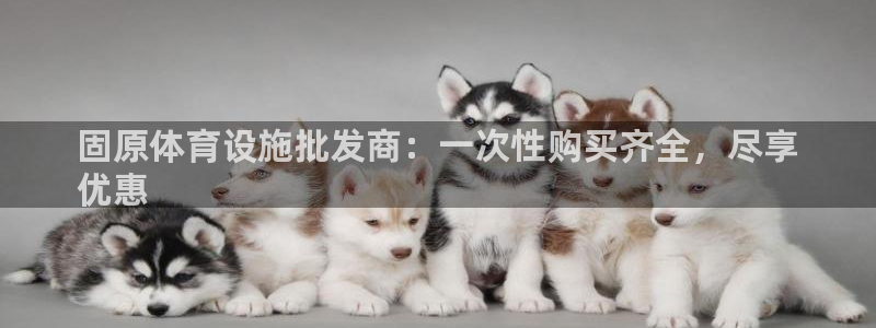 意昂3娱乐是那个系列的台子：固原体育设施批发商：一次