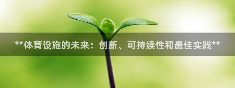 意昂体育3：**体育设施的未来：创新、可持续性和最佳
