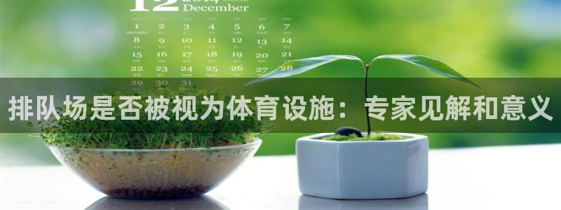 意昂体育3平台注册流程图：排队场是否被视为体育设施：