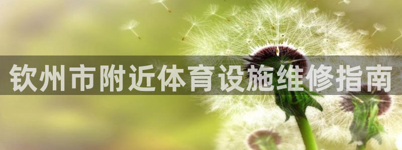 意昂集团官网：钦州市附近体育设施维修指南