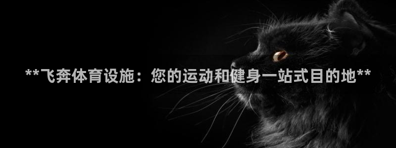 意昂3集团官网首页：**飞奔体育设施：您的运动和健身