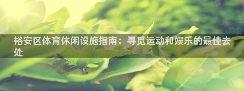 意昂体育3招商电话地址是多少：裕安区体育休闲设施指南