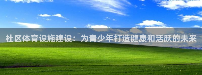 意昂3娱乐：社区体育设施建设：为青少年打造健康和活跃