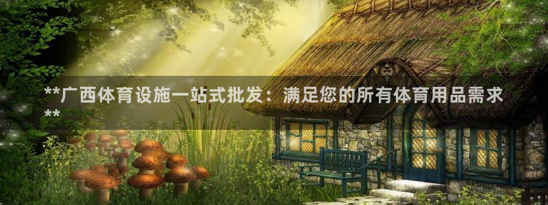 意昂3集团官网首页：**广西体育设施一站式批发：满足