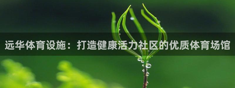 意昂3娱乐网站：远华体育设施：打造健康活力社区的优质