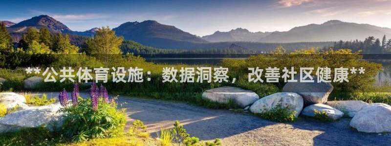 意昂体育3官方客服电话：**公共体育设施：数据洞察，