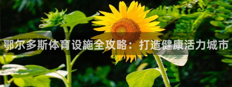 意昂集团官网：鄂尔多斯体育设施全攻略：打造健康活力城