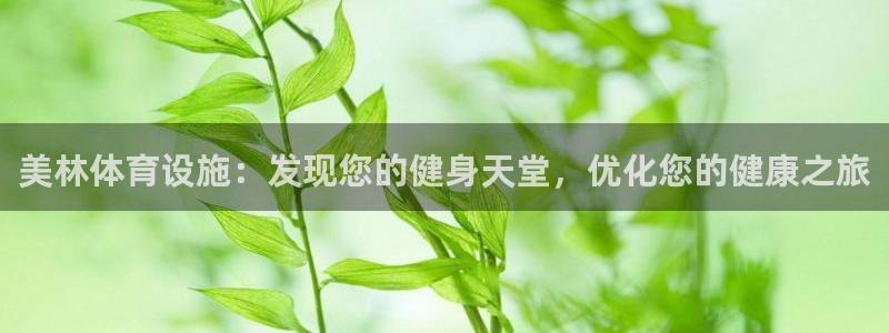 意昂体育3：美林体育设施：发现您的健身天堂，优化您的