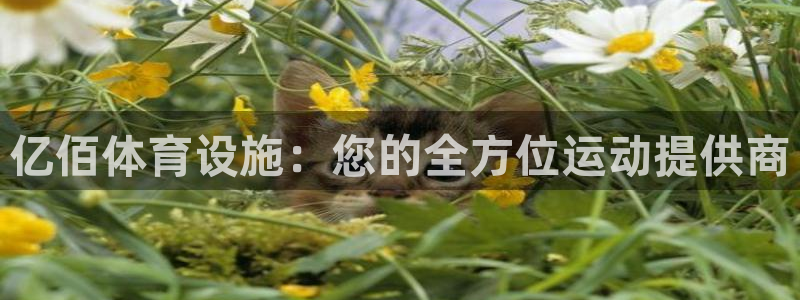意昂体育3平台是正规平台吗安全吗：亿佰体育设施：您的