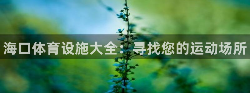 意昂体育3招商电话是多少：海口体育设施大全：寻找您的