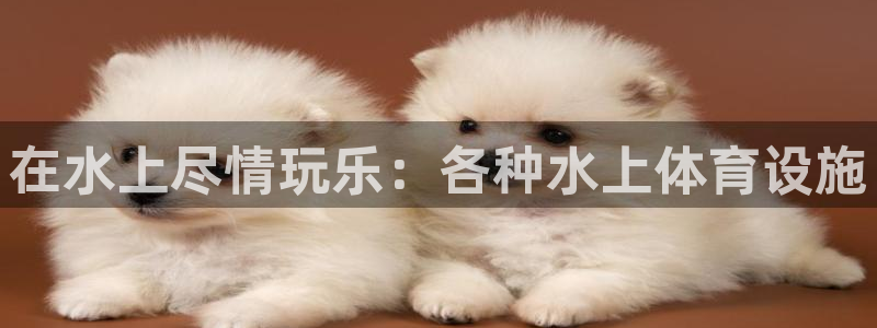 意昂3娱乐下载：在水上尽情玩乐：各种水上体育设施