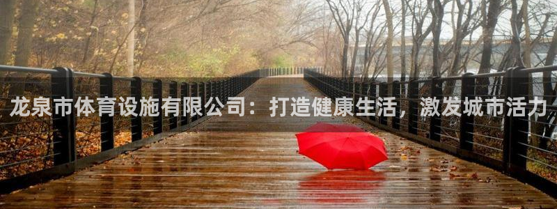 意昂体育3招商电话地址：龙泉市体育设施有限公司：打造