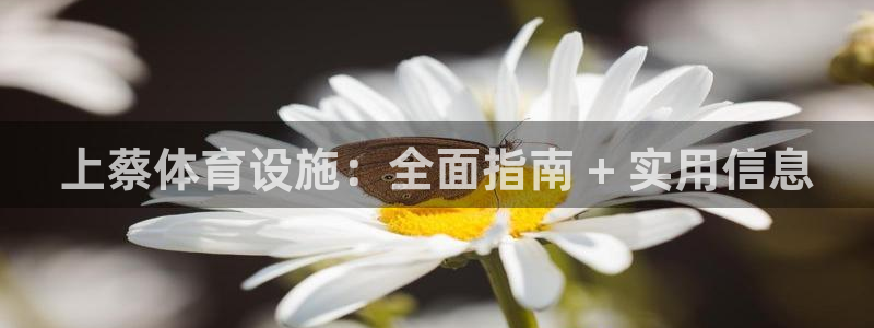 意昂体育3平台是正规平台吗：上蔡体育设施：全面指南 