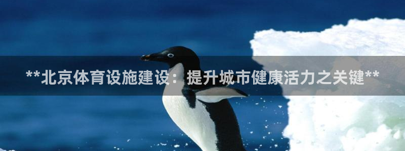 意昂3五金厂：**北京体育设施建设：提升城市健康活力