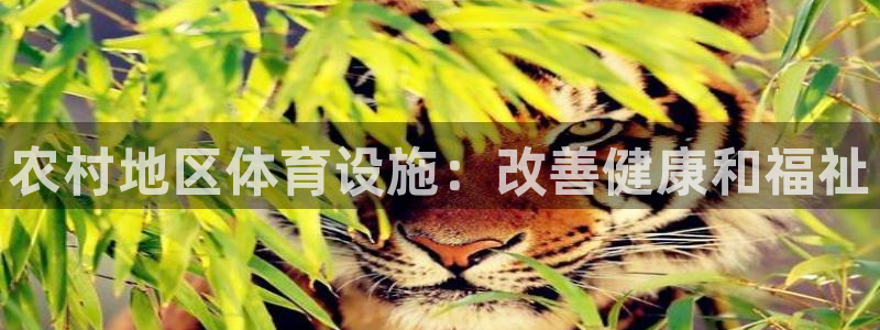 意昂体育3平台是正规平台吗：农村地区体育设施：改善健