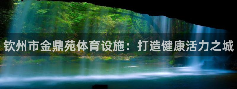 意昂3官方：钦州市金鼎苑体育设施：打造健康活力之城