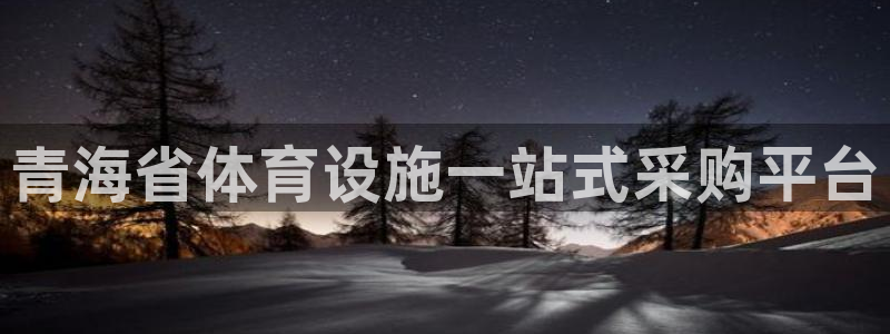 意昂3集团简介：青海省体育设施一站式采购平台