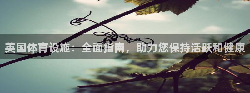 意昂体育3官方客服电话：英国体育设施：全面指南，助力