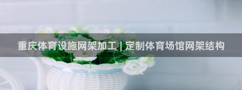 意昂体育3招商电话地址：重庆体育设施网架加工 | 定