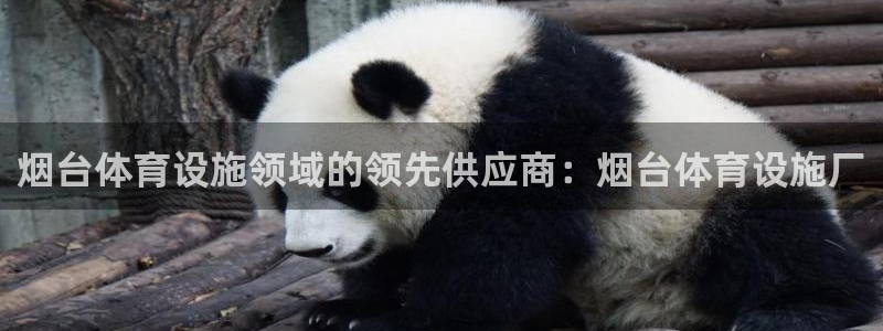 意昂3集团官网首页网址：烟台体育设施领域的领先供应商