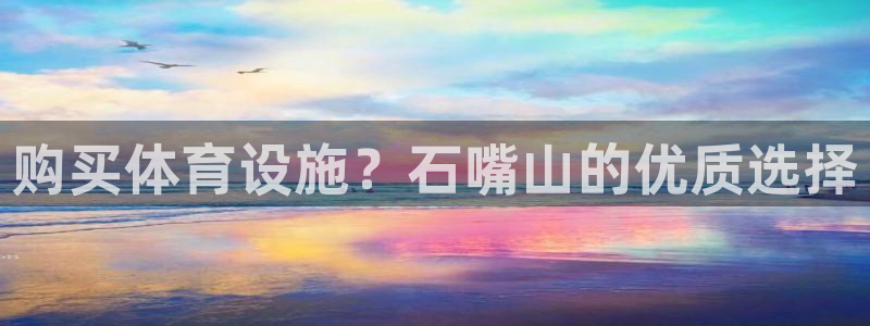 意昂3娱乐下载：购买体育设施？石嘴山的优质选择