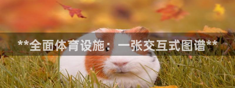 意昂3官网：**全面体育设施：一张交互式图谱**