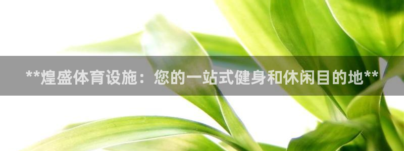 意昂3集团：**煌盛体育设施：您的一站式健身和休闲目