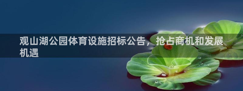 意昂3集团官网首页网址：观山湖公园体育设施招标公告，