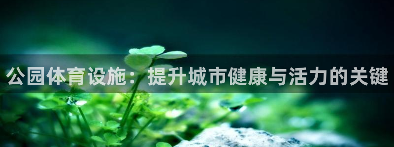 意昂体育3官方客服电话：公园体育设施：提升城市健康与