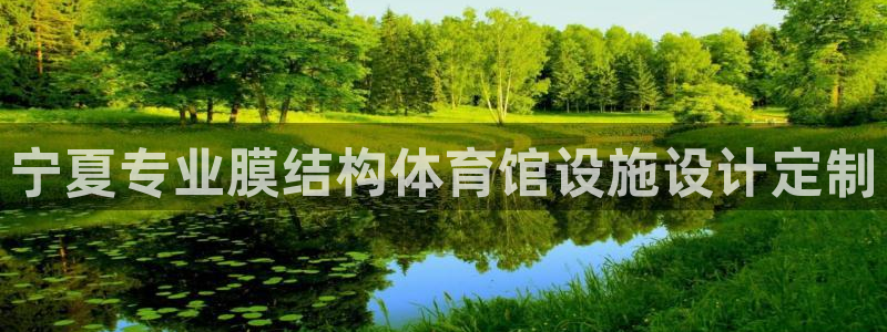 意昂体育3招商：宁夏专业膜结构体育馆设施设计定制