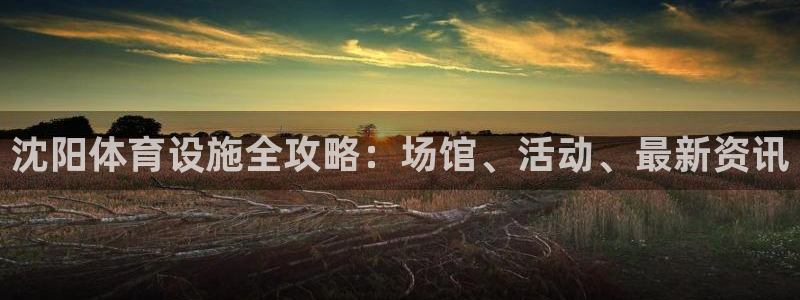 意昂平台体育：沈阳体育设施全攻略：场馆、活动、最新资