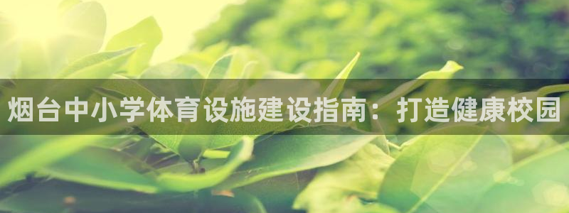 意昂3娱乐下载：烟台中小学体育设施建设指南：打造健康