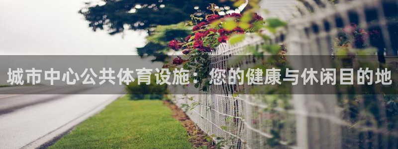 意昂体育3招商：城市中心公共体育设施：您的健康与休闲