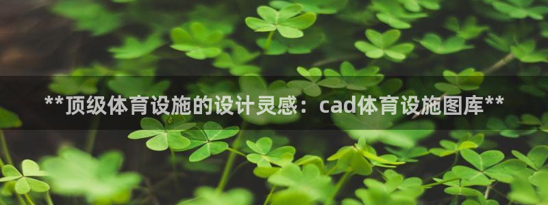 意昂体育3平台注册：**顶级体育设施的设计灵感：ca
