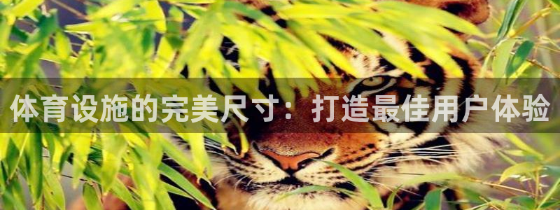 意昂3五金厂：体育设施的完美尺寸：打造最佳用户体验